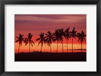 Palm Trees and Sunset, Queens Road, Fiji Fine Art Print