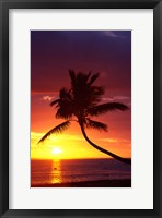 Sunset and Palm Trees, Coral Coast, Viti Levu, Fiji Fine Art Print