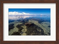 Tourists and Starfish in Rock Pools, Tambua Sands Resort, Coral Coast, Fiji Fine Art Print