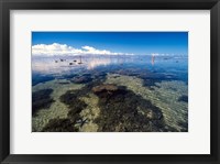 Tourists and Starfish in Rock Pools, Tambua Sands Resort, Coral Coast, Fiji Fine Art Print