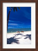 Palm Trees and Horses, Tambua Sands, Coral Coast, Fiji Fine Art Print