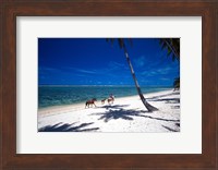 Horses on Beach, Tambua Sands Resort, Coral Coast, Fiji Fine Art Print