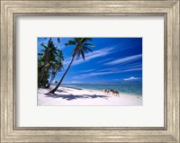 Girl on Beach and Coconut Palm Trees, Tambua Sands Resort, Fiji Fine Art Print