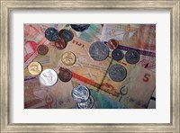 Fiji Currency Fine Art Print