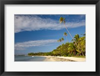 Beach and palm trees, Plantation Island Resort, Fiji Fine Art Print