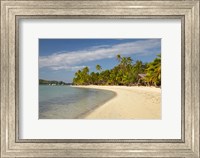 Beach and palm trees,  Malolo Lailai Island, Mamanuca Islands, Fiji Fine Art Print
