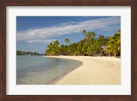 Beach and palm trees,  Malolo Lailai Island, Mamanuca Islands, Fiji Fine Art Print