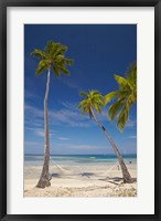 Hammock and palm trees, Plantation Island Resort, Malolo Lailai Island, Mamanuca Islands, Fiji Fine Art Print