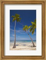 Hammock and palm trees, Plantation Island Resort, Malolo Lailai Island, Mamanuca Islands, Fiji Fine Art Print