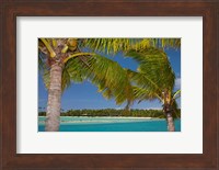 Palm trees and lagoon entrance, Musket Cove Island Resort, Malolo Lailai Island, Mamanuca Islands, Fiji Fine Art Print