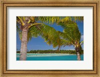 Palm trees and lagoon entrance, Musket Cove Island Resort, Malolo Lailai Island, Mamanuca Islands, Fiji Fine Art Print
