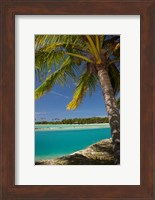 Palm trees and lagoon entrance, Musket Cove Island Resort, Fiji Fine Art Print