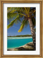 Palm trees and lagoon entrance, Musket Cove Island Resort, Fiji Fine Art Print