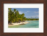 Beach, palm trees and beachfront bures, Plantation Island Resort, Malolo Lailai Island, Mamanuca Islands, Fiji Fine Art Print