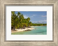 Beach, palm trees and beachfront bures, Plantation Island Resort, Malolo Lailai Island, Mamanuca Islands, Fiji Fine Art Print