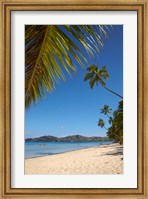 Beach and palm trees, Plantation Island Resort, Malolo Lailai Island, Mamanuca Islands, Fiji Fine Art Print