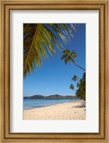 Beach and palm trees, Plantation Island Resort, Malolo Lailai Island, Mamanuca Islands, Fiji Fine Art Print