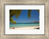 Beach and palm trees, Plantation Island Resort, Malolo Lailai Island, Fiji Fine Art Print