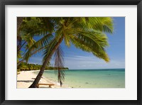 Beach and palm trees, Plantation Island Resort, Mamanuca Islands, Fiji Fine Art Print
