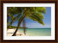 Beach and palm trees, Plantation Island Resort, Mamanuca Islands, Fiji Fine Art Print