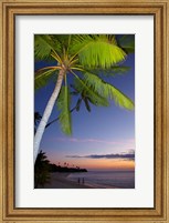 Palm trees and sunset, Plantation Island Resort, Fiji Fine Art Print