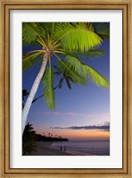 Palm trees and sunset, Plantation Island Resort, Fiji Fine Art Print
