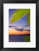 Palm trees and sunset, Plantation Island Resort, Malolo Lailai Island, Mamanuca Islands, Fiji Fine Art Print