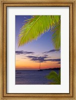 Palm trees and sunset, Plantation Island Resort, Malolo Lailai Island, Mamanuca Islands, Fiji Fine Art Print