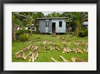 Iron house, Namaqumaqua village, Viti Levu, Fiji Fine Art Print