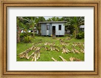 Iron house, Namaqumaqua village, Viti Levu, Fiji Fine Art Print