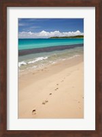 Footprints in sand on Natadola Beach, Coral Coast, Viti Levu, Fiji Fine Art Print