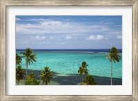 Palm trees and coral reef, Crusoe's Retreat, Coral Coast, Viti Levu, Fiji Fine Art Print