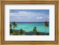 Palm trees and coral reef, Crusoe's Retreat, Coral Coast, Viti Levu, Fiji Fine Art Print