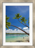 Palm trees, Shangri-La Fijian Resort, Yanuca Island, Coral Coast, Viti Levu, Fiji Fine Art Print