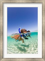 Couple snorkeling near Beqa Lagoon, Beqa Island, Fiji Fine Art Print