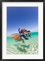Couple snorkeling near Beqa Lagoon, Beqa Island, Fiji Fine Art Print