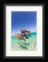 Couple snorkeling near Beqa Lagoon, Beqa Island, Fiji Fine Art Print