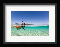 Woman snorkeling, Beqa Island, Fiji Fine Art Print