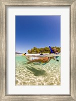 Snorkeling, Beqa Island, Fiji Fine Art Print