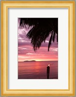 Tropical Sunset, Beqa Island, Fiji Fine Art Print