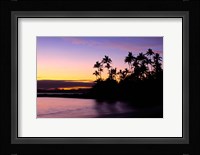 Fiji Islands, Tavarua, Palm trees and sunset Fine Art Print