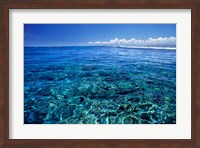 Fiji Islands, Tavarua, coral reef Fine Art Print