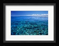 Fiji Islands, Tavarua, coral reef Fine Art Print