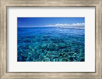 Fiji Islands, Tavarua, coral reef Fine Art Print