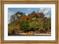 Christmas Tree and Orange Skiff, Turtle Island, Yasawa Islands, Fiji Fine Art Print