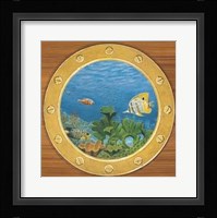 Andrea Del missier - Coral Reef Size 19.75x23.75 Fine Art Print