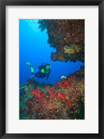 Diver, Coral-lined Arc, Beqa Island, Fiji Fine Art Print