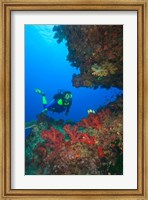 Diver, Coral-lined Arc, Beqa Island, Fiji Fine Art Print