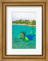 Snorkeling, Picnic island, Viti Levu Fiji Fine Art Print