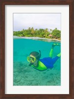 Snorkeling, Picnic island, Viti Levu Fiji Fine Art Print
